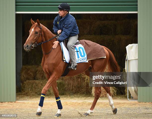 Galio Chop from France during a trackwork session at Werribee Racecourse on October 12, 2015 in Melbourne, Australia.