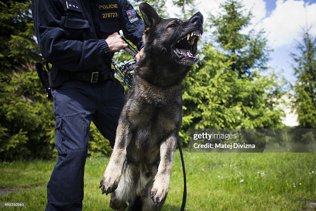 Czech Police Patrol Against Crystal Meth Smugglers