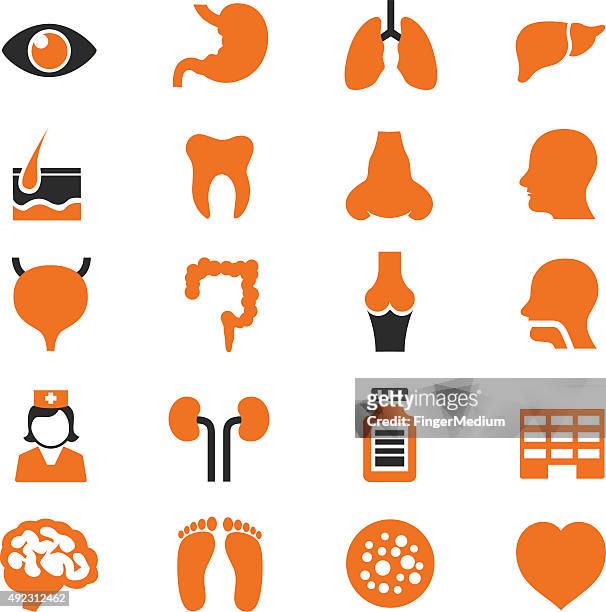 stockillustraties, clipart, cartoons en iconen met medical icons - joint body part