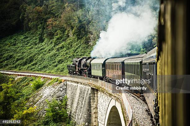 steam train composition on railway journey - steam train stock pictures, royalty-free photos & images