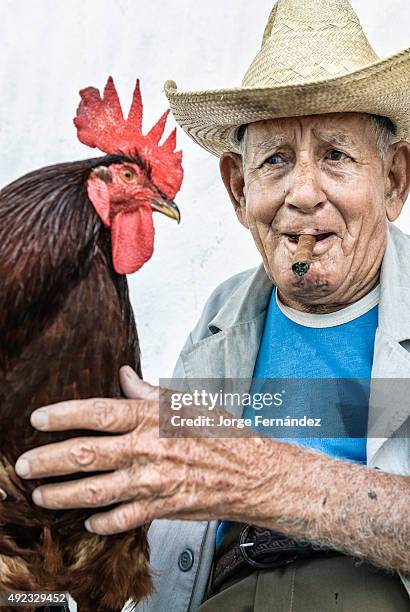 Old man with straw hat holding a rooster on his leg.