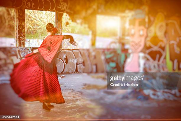 practising flamenco. - flamencos stock-fotos und bilder