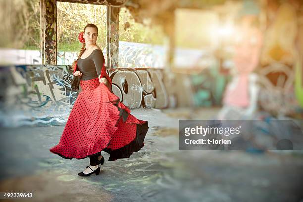 practising flamenco. - flamencos stock-fotos und bilder