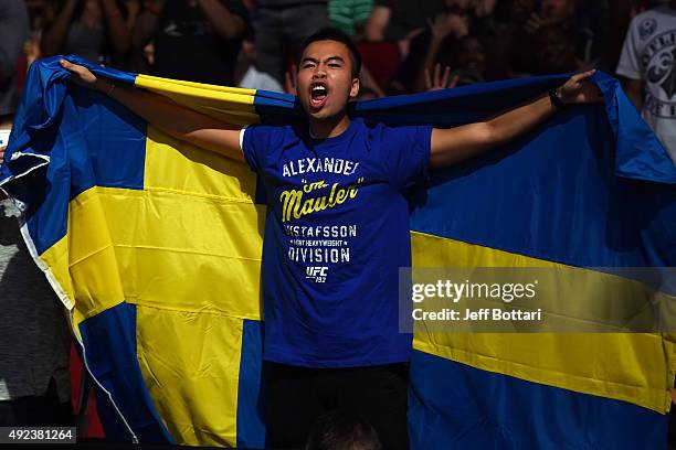 Fan waves a Swedish flag as he cheers for Alexander Gustafsson of Sweden during the UFC 192 event at the Toyota Center on October 3, 2015 in Houston,...