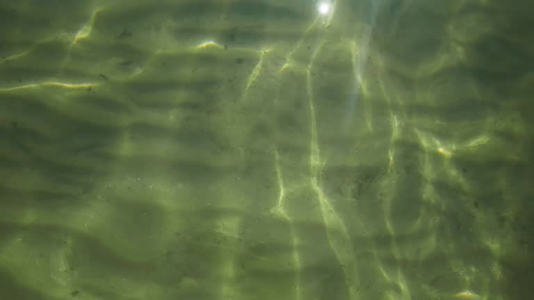 Caustic Texture Videos and HD Footage - Getty Images