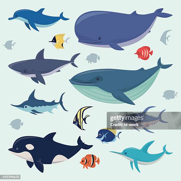 ilustraciones, imágenes clip art, dibujos animados e iconos de stock de grupo de animales de mar - angelfish