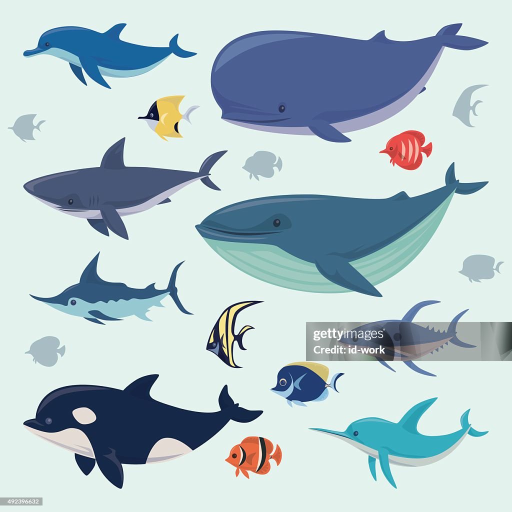 Group of sea creatures
