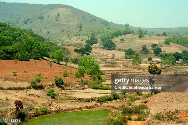 160 Western Odisha Stock Photos, HighRes Pictures, and Images Getty