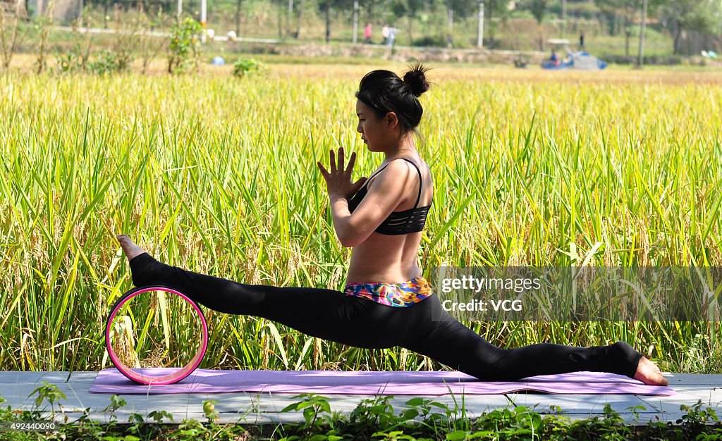Yoga Enthusiasts Practice In Nature
