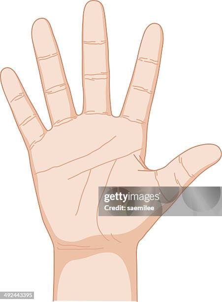 Ilustraciones de Mano Abierta - Getty Images Ilustraciones de Mano Abierta - Getty Images