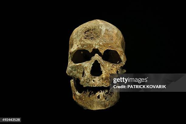 Pascale MOLLARD-CHENEBENOIT A picture taken on October 13, 2015 shows the skull of a Cro-Magnon man at the Musee de l'Homme in Paris. The museum...