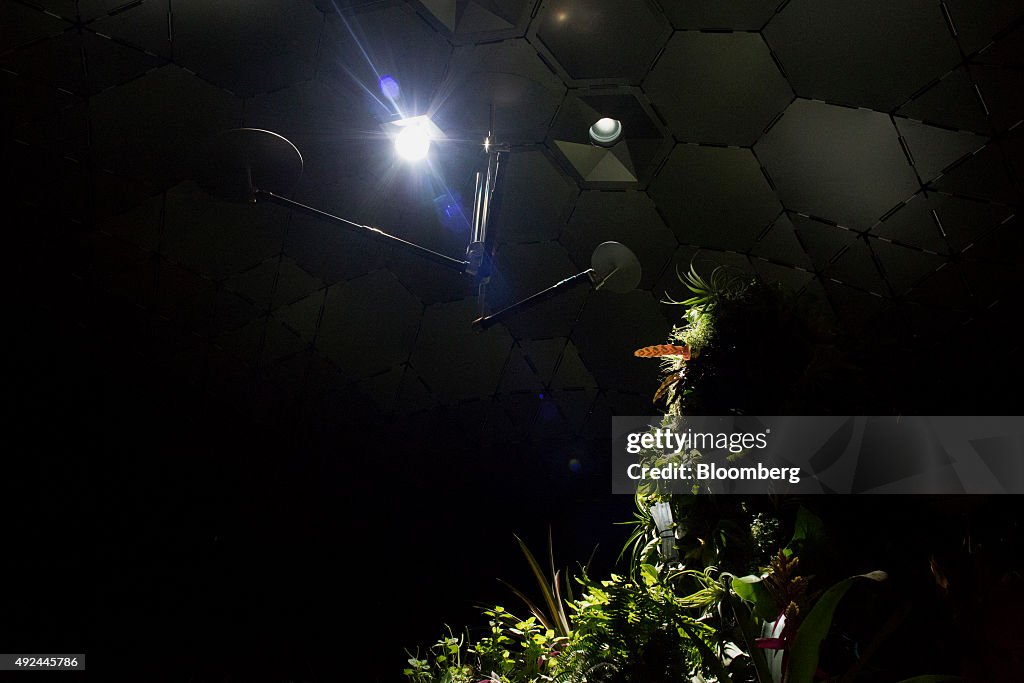 A Look Inside the Lowline, New York City's First Underground Park