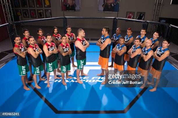 Team Velasquez and Team Werdum pose for a group portrait inside the Octagon on media day during filming of The Ultimate Fighter Latin America on May...