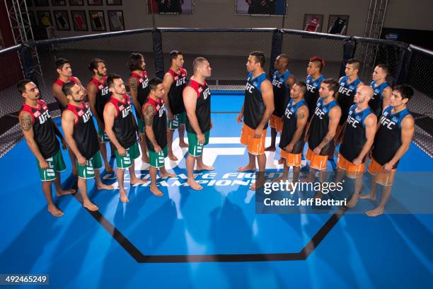 Team Velasquez and Team Werdum pose for a group portrait inside the Octagon on media day during filming of The Ultimate Fighter Latin America on May...