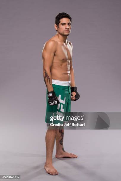 Team Velasquez fighter Gabriel Benitez poses for a portrait on media day during filming of The Ultimate Fighter Latin America on May 15, 2014 in Las...