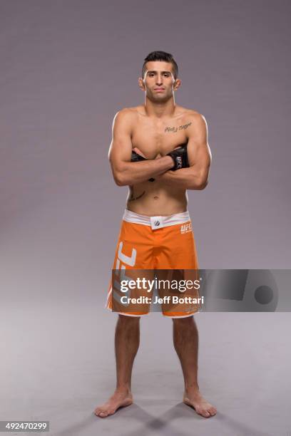 Team Werdum fighter Alex Torres poses for a portrait on media day during filming of The Ultimate Fighter Latin America on May 15, 2014 in Las Vegas,...