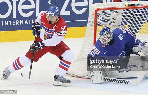 Captain Tomas Rolinek of Czech Republic and goalie Florian Hardy of France in action during the 2014 IIHF World Championship between France and Czech...