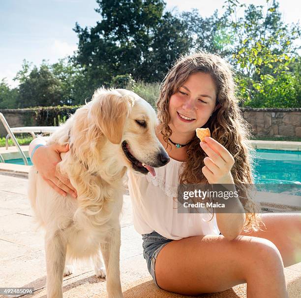 girl giving harng her cookie with a dog - baby animal stock pictures, royalty-free photos & images