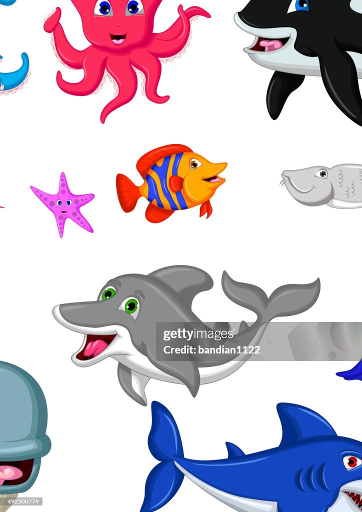 Linda Conjunto De Dibujos Animados Animales Marinos Ilustración de stock - Getty Images Linda Conjunto De Dibujos Animados Animales Marinos Ilustración de stock - Getty Images