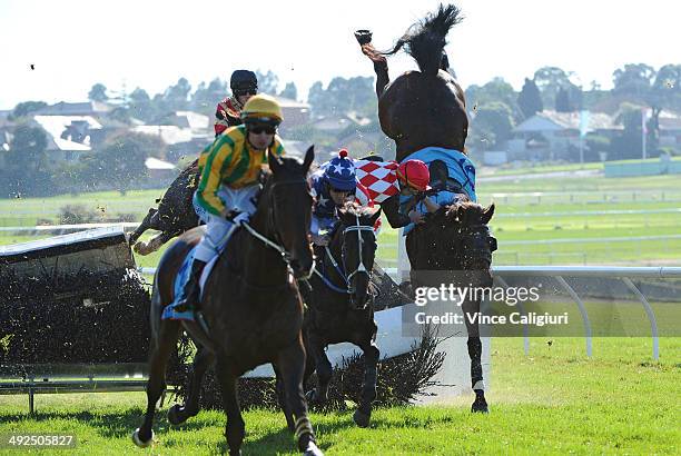 Martin Kelly riding Show Dancer crashes through the steeple jump and falls to the ground in Race 1, the Follow @ MRCTracknews on Twitter Steeplechase...