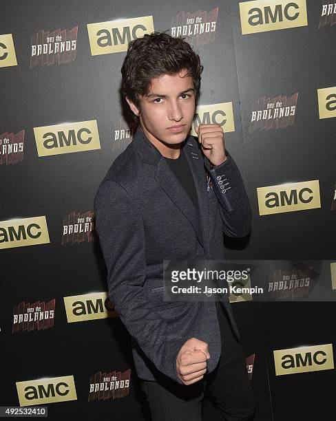 Actor Aramis Knight attends a screening of AMC's "Into The Badlands" at The London West Hollywood on October 13, 2015 in West Hollywood, California.