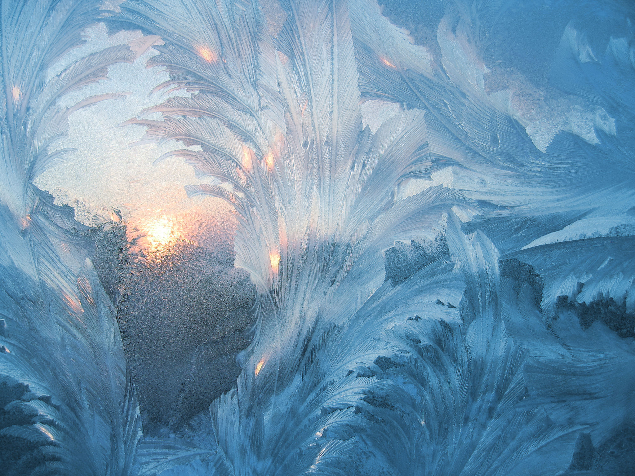 winter window frost
