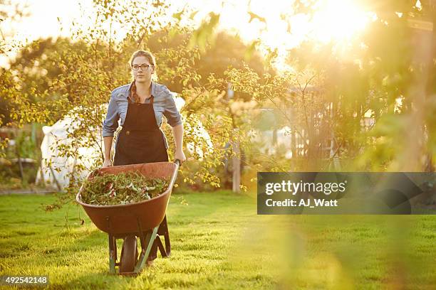 gardening is a labor of love - kruiwagen stockfoto's en -beelden