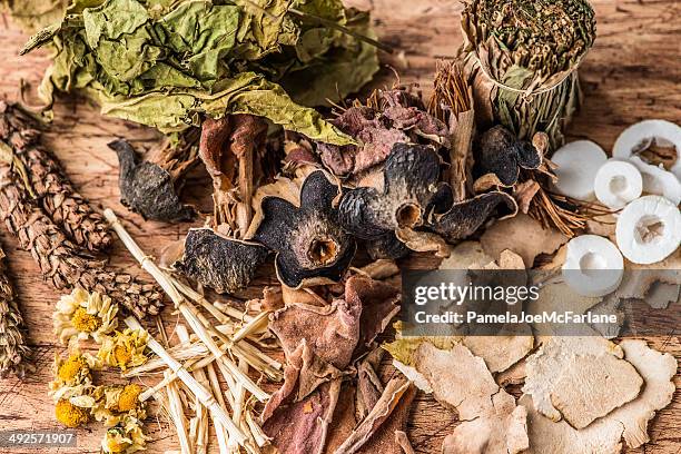 traditional chinese herbal medicine - green potion stock pictures, royalty-free photos & images