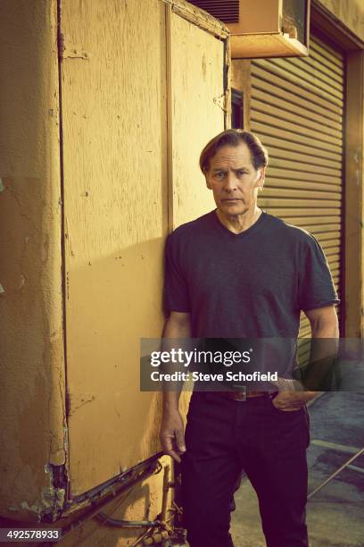 Actor James Remar is photographed on March 10, 2014 in Los Angeles, California.