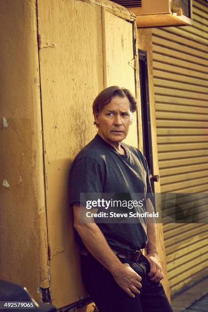 Actor James Remar is photographed on March 10, 2014 in Los Angeles, California.