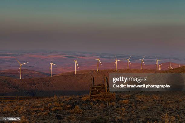 wild horse ridgeline - ellensburg stock pictures, royalty-free photos & images