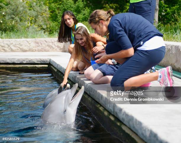 Karin Knapp of Italy, Dia Evtimova of Bulgaria and Montserrat Gonzalez of Paraguay attend a visit at Nuremberg Delphinarium at Nuremberg Zoo during...