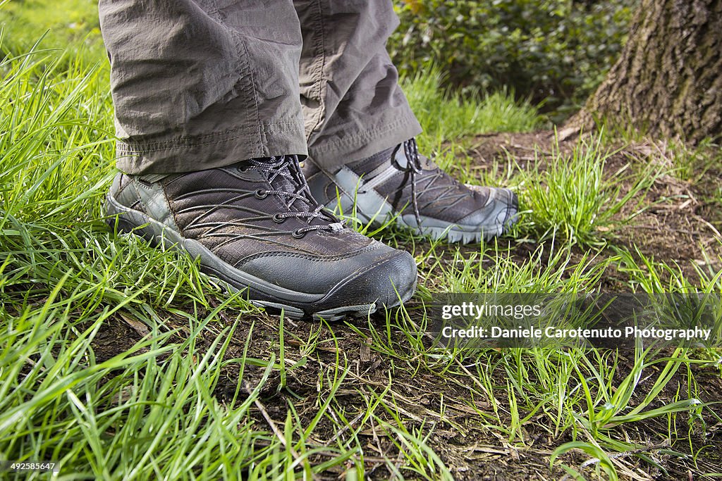 Standing in the wood