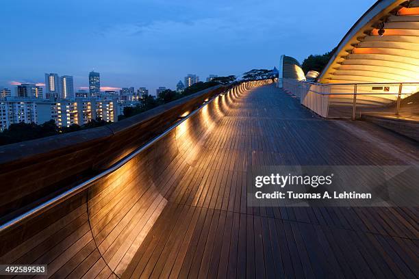 at the henderson waves bridge in singapore at dusk - henderson waves bridge stock pictures, royalty-free photos & images
