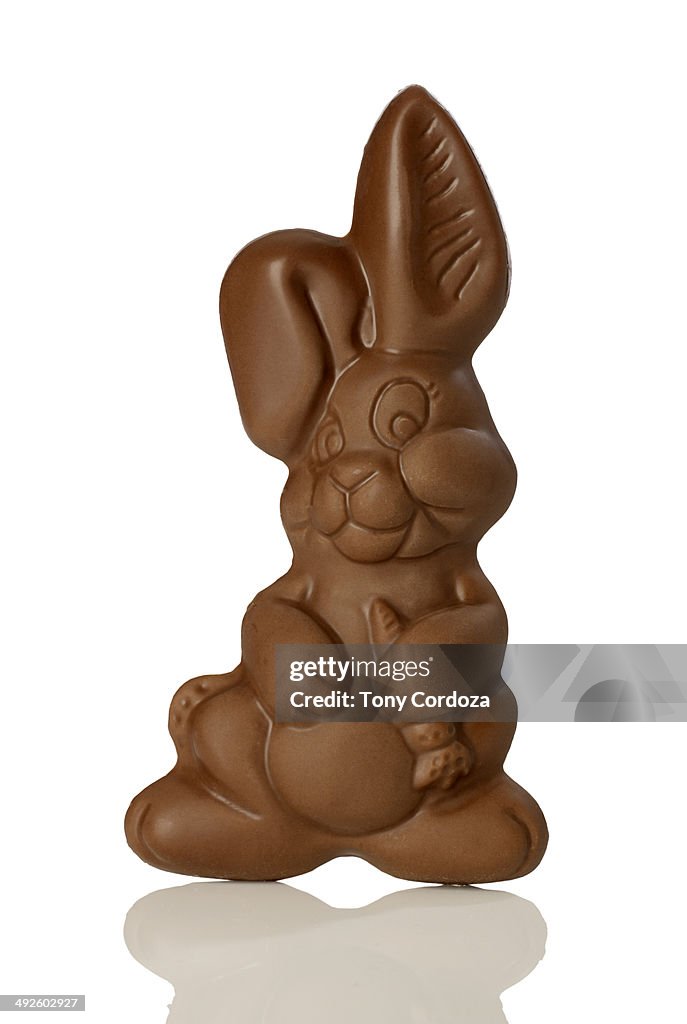 Chocolate bunny