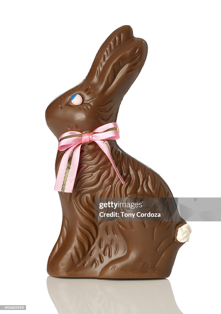 Chocolate bunny