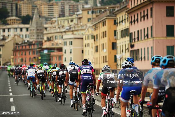 The peloton in action during the eleventh stage of the 2014 Giro d'Italia, a 249km medium mountain stage between Collecchio and Savona on May 21,...