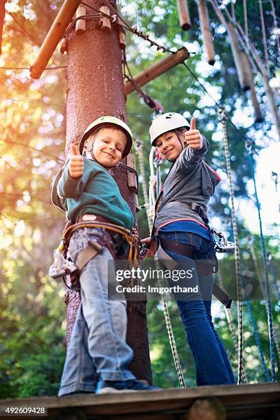 brother and sister having fun in ropes course adventure park - zip line stock pictures, royalty-free photos & images