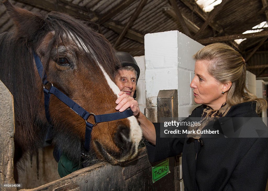 The Countess Of Wessex Attends A Reception At Remus Memorial Horse Sanctuary