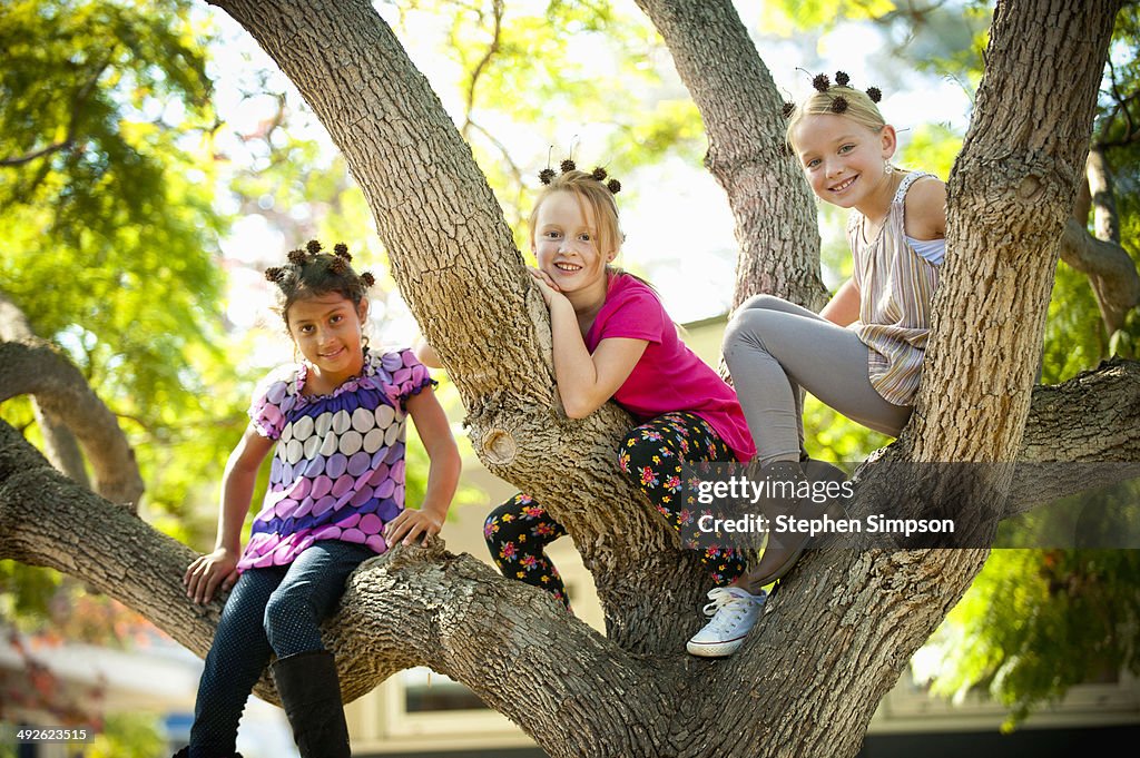 Girls in a tree, sycamore seed pods in their hair