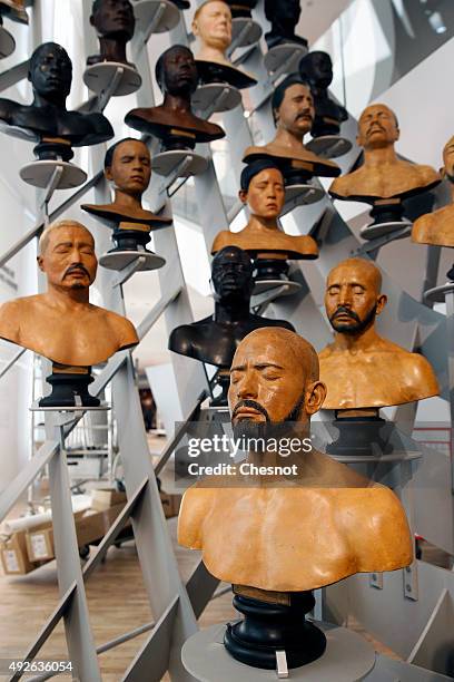 Gallery of busts from the 19th century is displayed during a press visit at the Museum of Mankind on October 14, 2015 in Paris, France. The museum,...