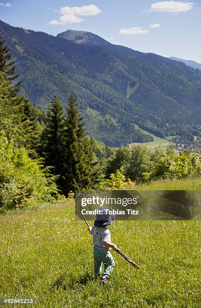baby boy holding stick and walking in field - eenjarig plantenkenmerk stockfoto's en -beelden