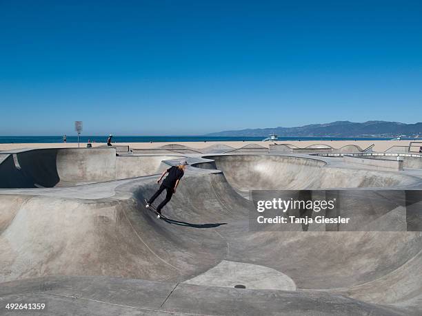 man skateboarding in skateboard park, venice beach, california - skatepark foto e immagini stock