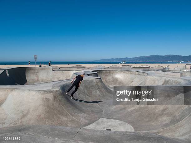 man skateboarding in skateboard park, venice beach, california - ハーフパイプ ストックフォトと画像