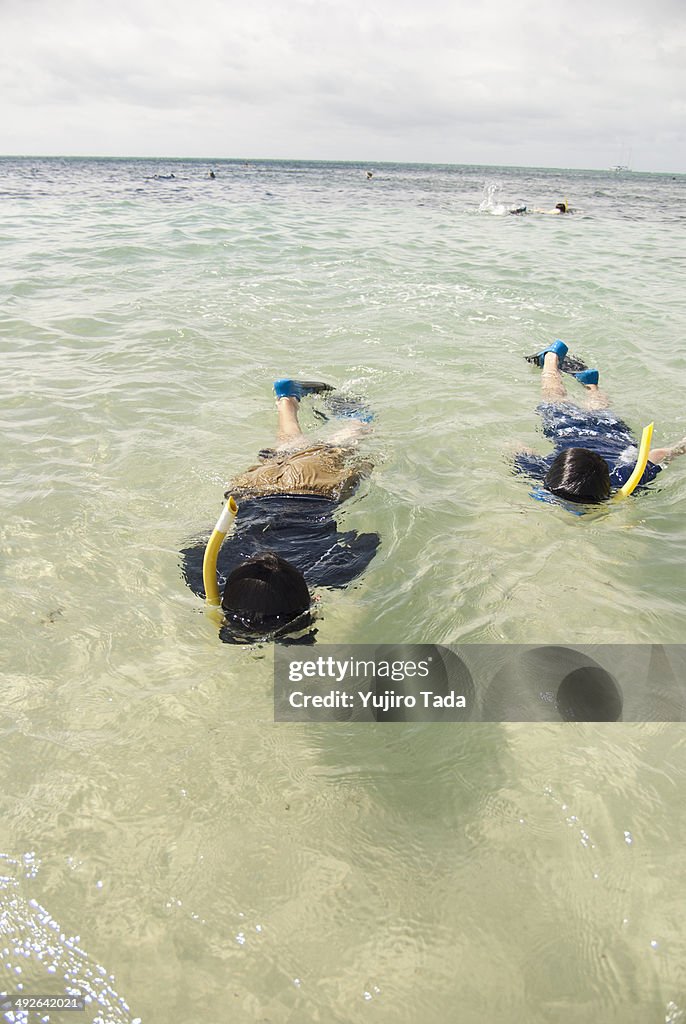 People snorkeling in sea