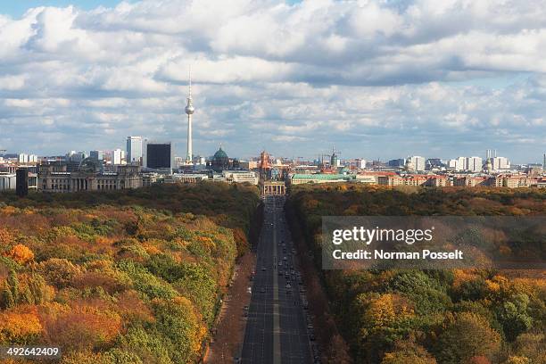 elevated view berlin skyline seen over tiergarten park, germany - land brandenburg - fotografias e filmes do acervo