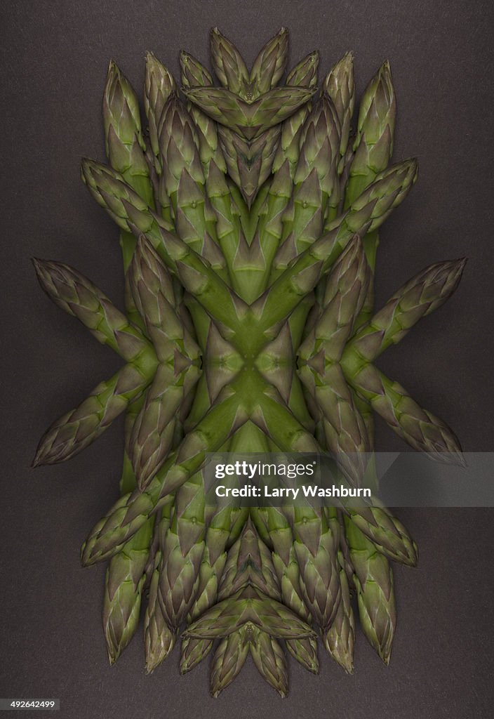 A digital composite of mirrored images of an arrangement of asparagus