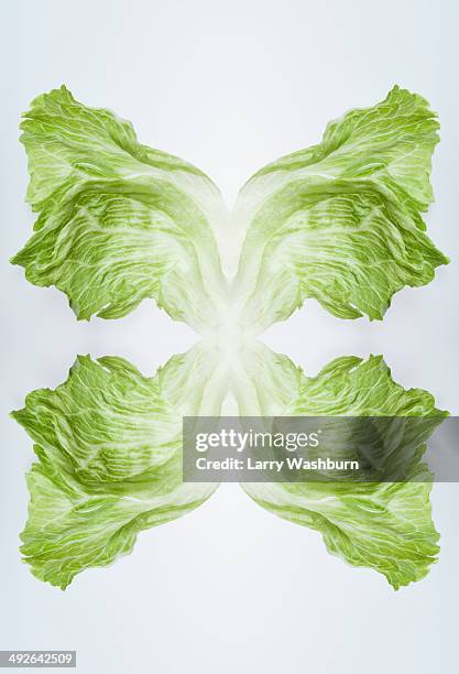 a digital composite of mirrored images of leaves of iceberg lettuce - iceberg lettuce stock pictures, royalty-free photos & images