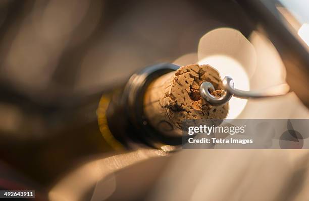 wine cork - wine corks stockfoto's en -beelden