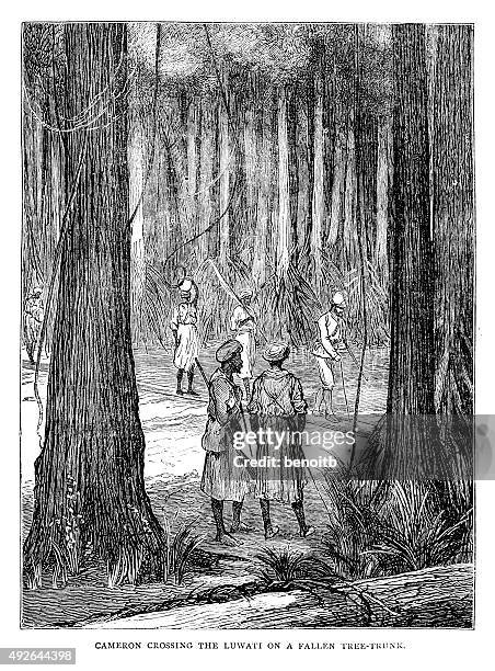 cameron crossing the luwati - jungle explorer stock illustrations